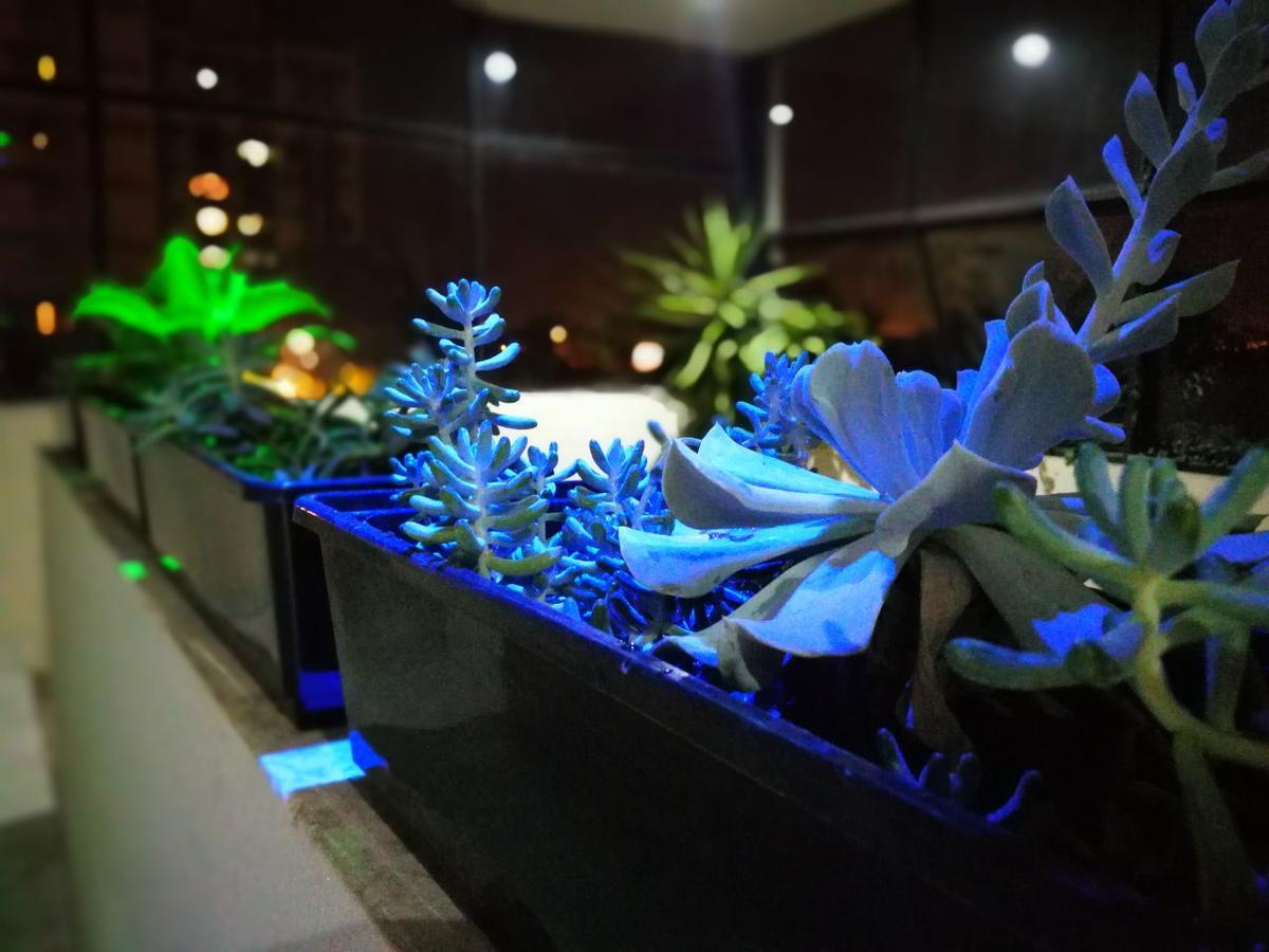 Guest House Jujuy Сан-Сальвадор-де-Жужуй Экстерьер фото